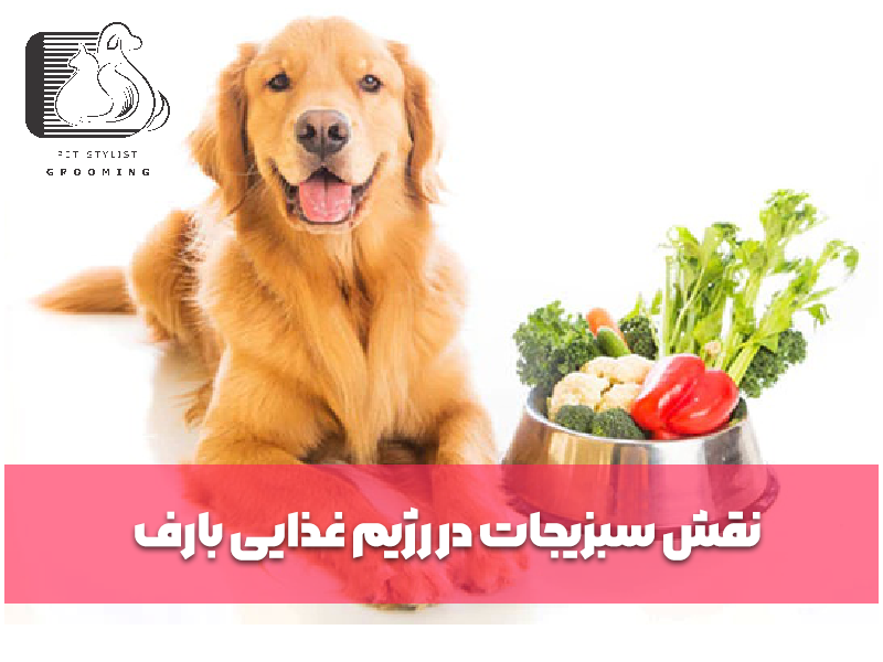 نقش سبزیجات در رژیم غذایی بارف